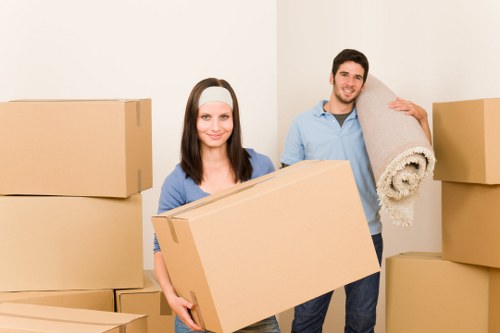 Packing and moving support for a Surrey relocation